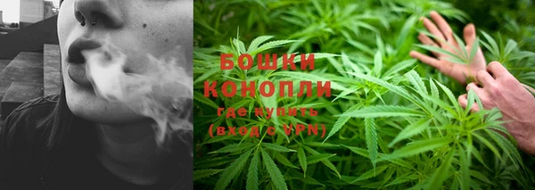 ПСИЛОЦИБИНОВЫЕ ГРИБЫ Покров