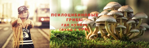 ПСИЛОЦИБИНОВЫЕ ГРИБЫ Покров