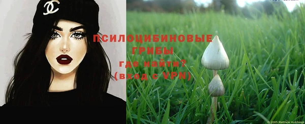 шишки Покровск