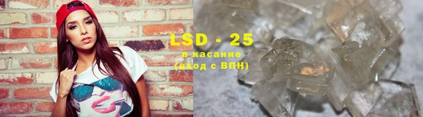 ПСИЛОЦИБИНОВЫЕ ГРИБЫ Покров