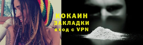 шишки Покровск