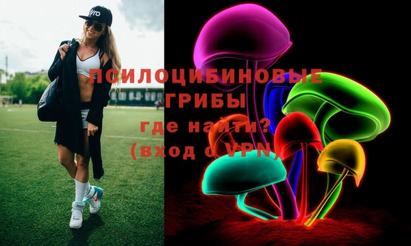 шишки Покровск