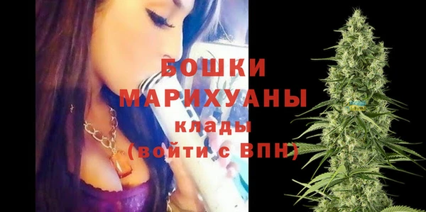 ПСИЛОЦИБИНОВЫЕ ГРИБЫ Покров