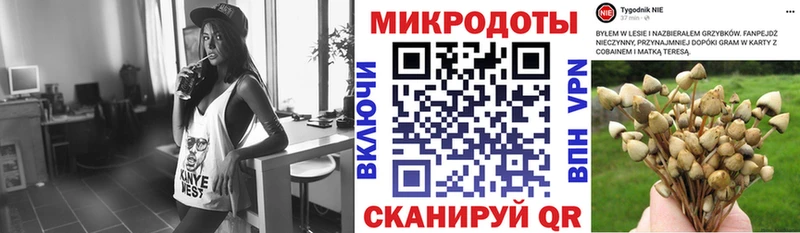 Псилоцибиновые грибы мицелий  Стрежевой 