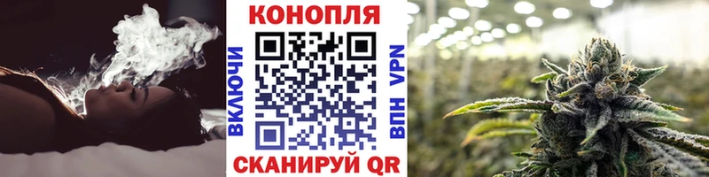 Каннабис индика Стрежевой